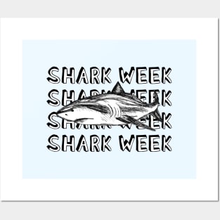 Shark Week Great White Posters and Art